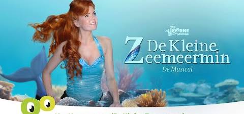 kleine zeemeermin voorstelling