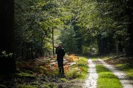 workshop natuurfotografie