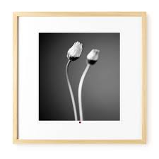 kunstfotografie
