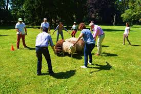 schapen hoeden teambuilding