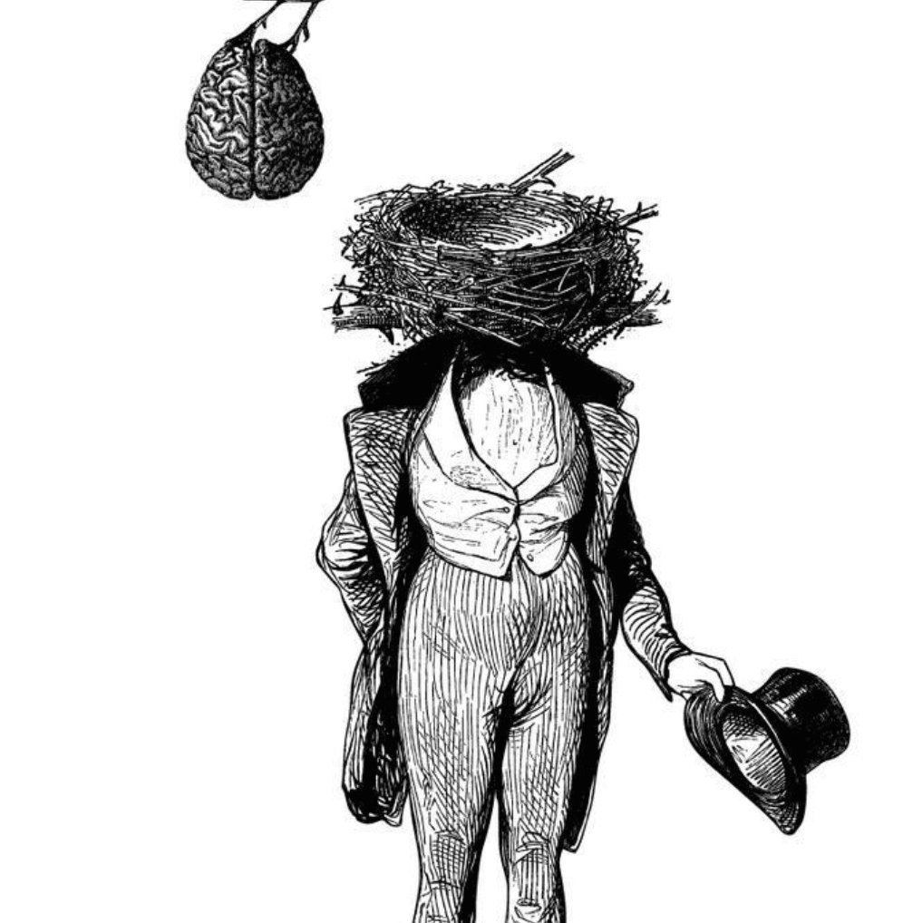 academie voor beeldende kunst