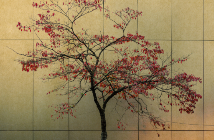 wabi sabi kunst