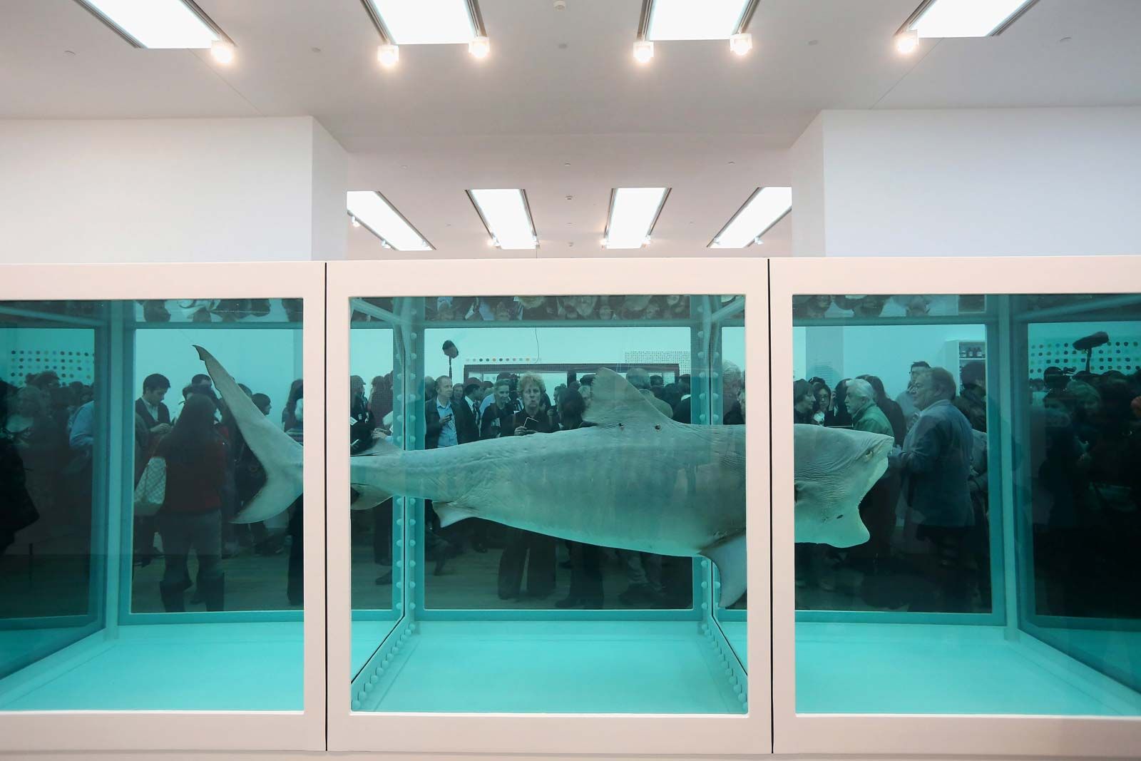 damien hirst kunst